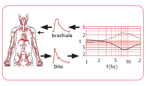 Ricostruzione della pressione brachiale